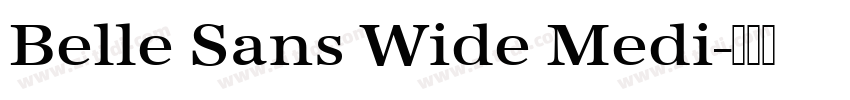 Belle Sans Wide Medi字体转换